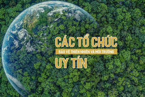  Cây Sồi và Chim Én – Một Bản Thánh Ca Về Thiên Nhiên và Tinh Thần Con Người