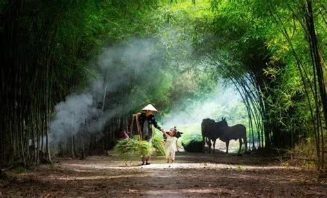  Linh Sơn Thác - Cảnh Vật Phong Quê Và Niềm Sâu Khát